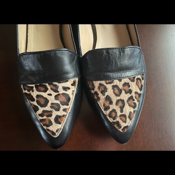 Avellini Italian leather flats with Leopard - 8.5 - Picture 2 of 6
